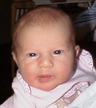 r0300231.jpg (28607 bytes)