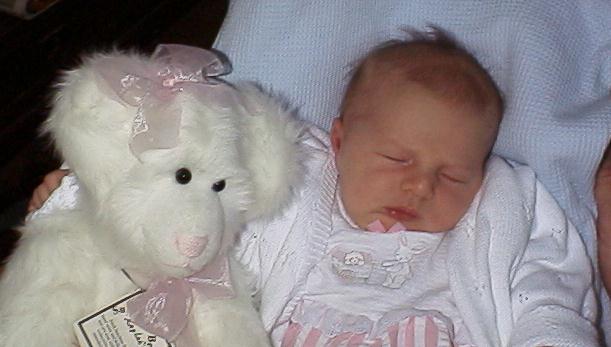 r0300254.jpg (38408 bytes)